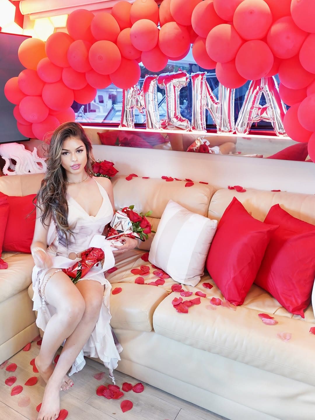 Ariana Setup